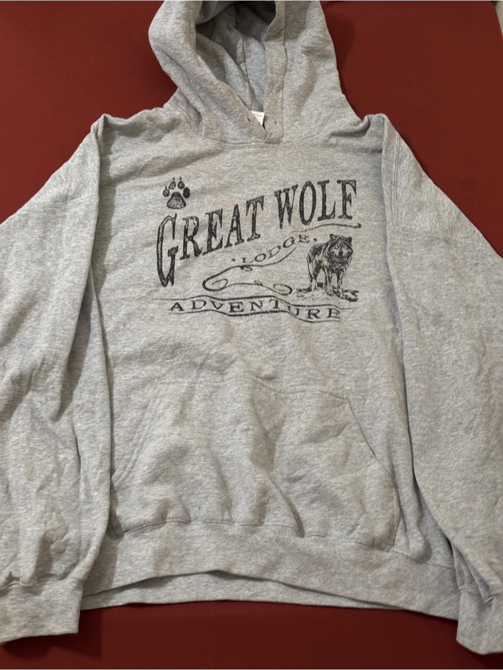 Gildan Gray Hooded Sweatshirt with Great Wolf Lodge Graphic